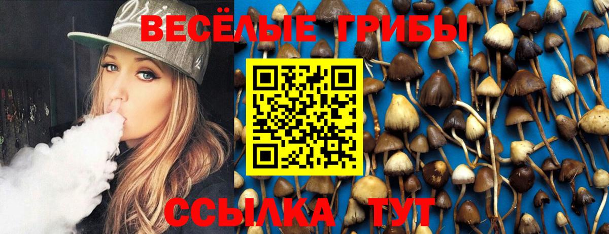 Галлюциногенные грибы Psilocybe Балашиха
