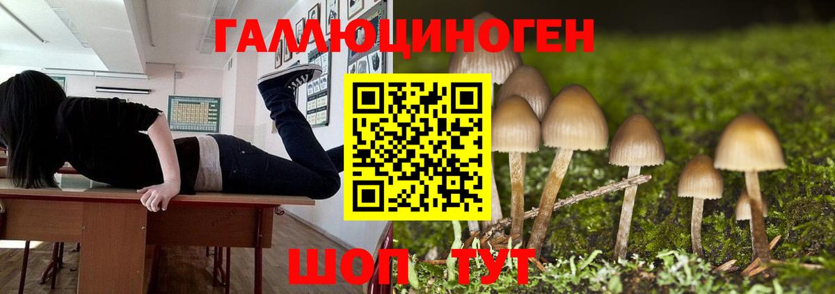 Балашиха  Псилоцибиновые грибы Psilocybe  Галлюциногенные грибы мицелий  Вход с VPN 
